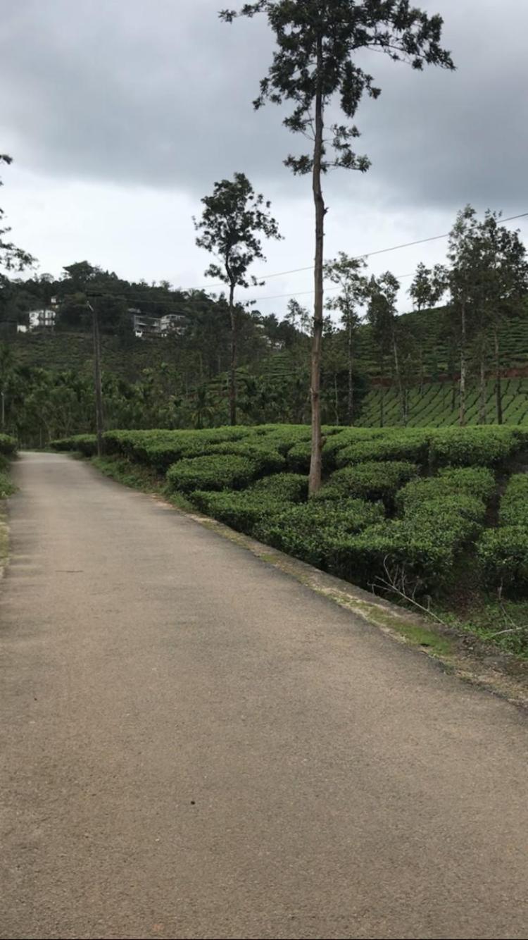 Greenfield Homestay Vythiri Exterior foto